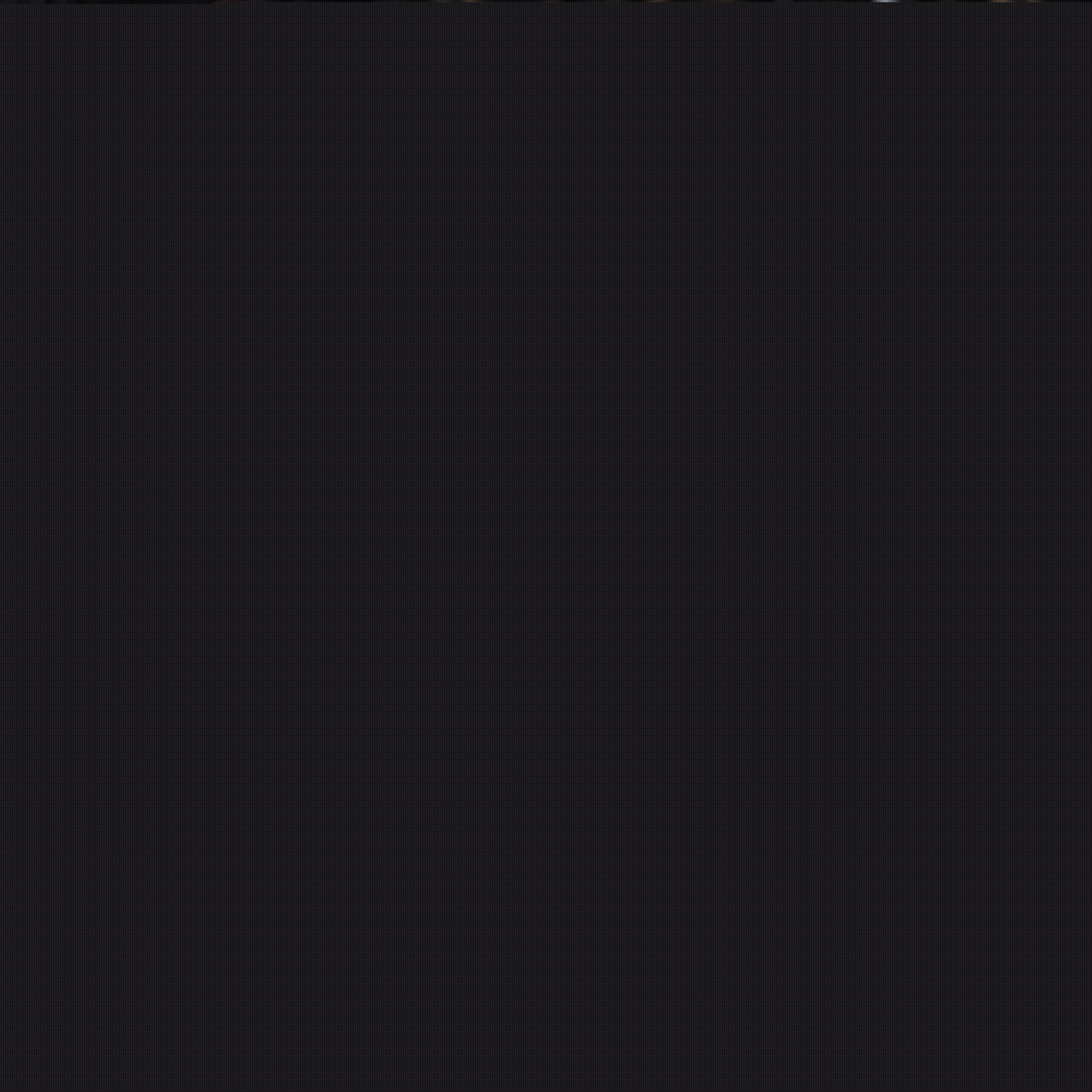 了比赛的制