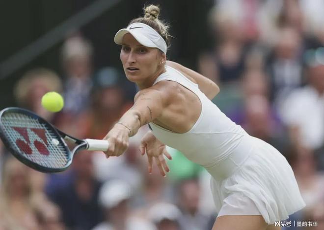 预计他们将 预计他们将