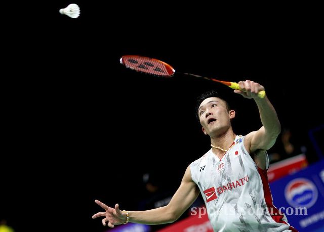 成功案例 成功案例