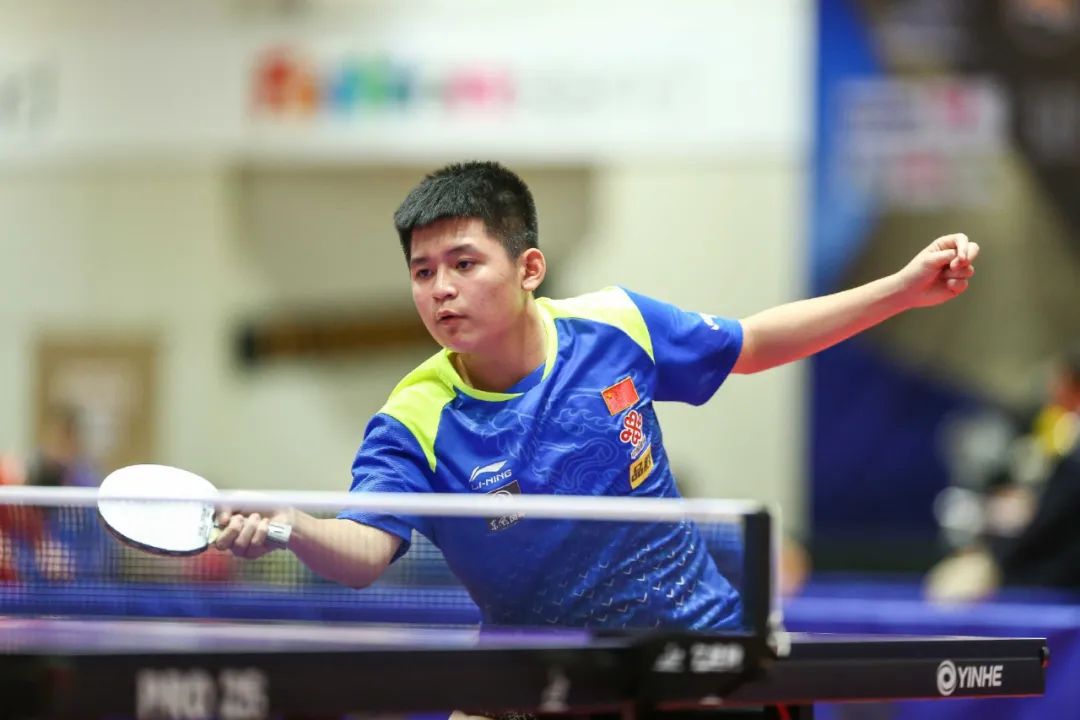 已被纳入体 已被纳入体